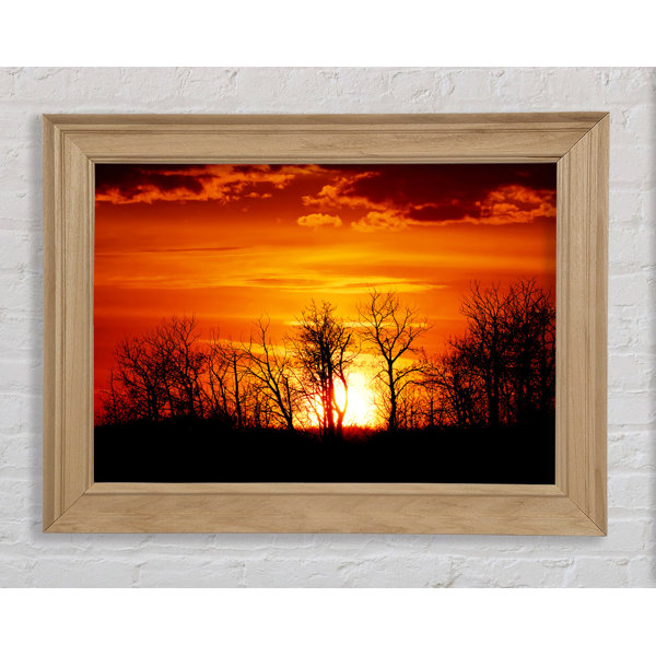 ModernMoments Orange Sunset Treeline Gerahmter Druck Wandkunst Wayfair De